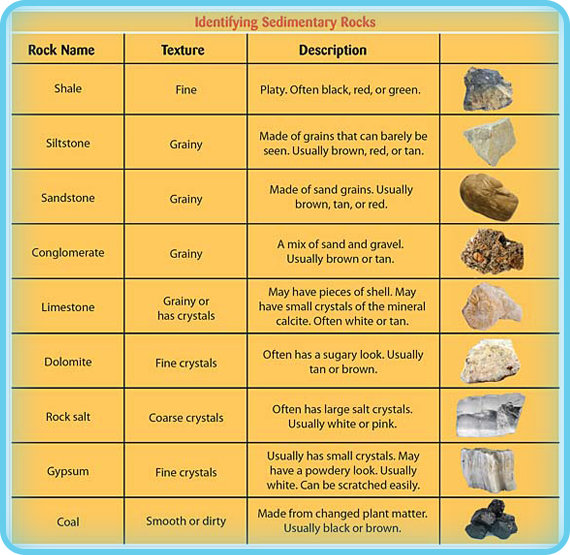 This chart can help you identify different kinds of sedimentary rocks.