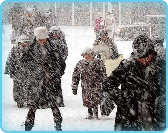 Snow Falls Instead Of Rain When It Is Very Cold Did You Know That 5 Cm Of Rain Would Make About Cm Of Snowview Larger Image Snow Falls Instead Of Rain When It Is Very Cold Did You Know That 5 Cm Of Rain Would Make About Cm Of Snowview Larger Image